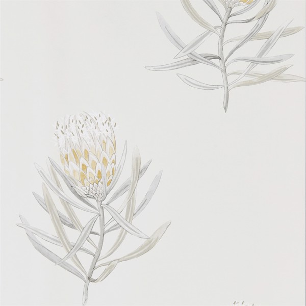 Protea Flower Daffodil/Natural Wallpaper by Sanderson
