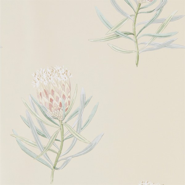Protea Flower Russet/Green Wallpaper by Sanderson