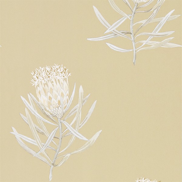 Protea Flower Sepia/Champagne Wallpaper by Sanderson