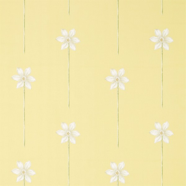 Thalia Daffodil/Natural Fabric by Sanderson