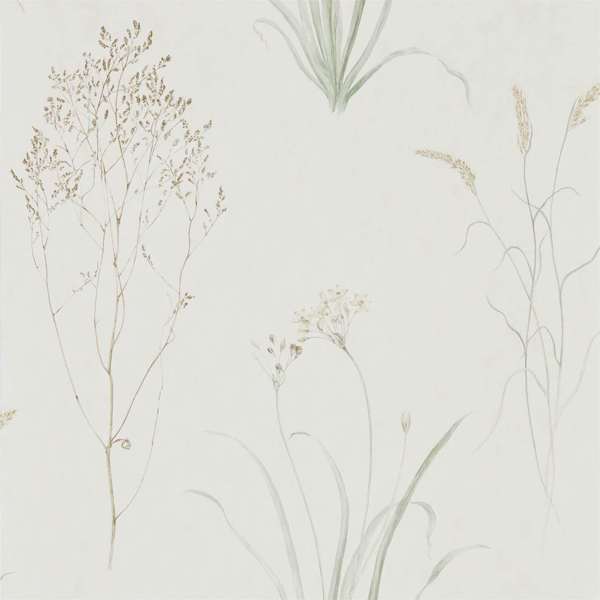 Farne Grasses Willow/Pebble Wallpaper by Sanderson