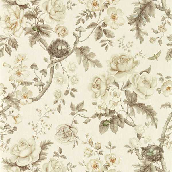 Tansy Bloom Oyster Wallpaper by Sanderson