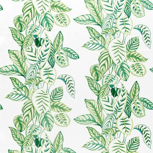 Calathea Botanical Green Fabric by Sanderson