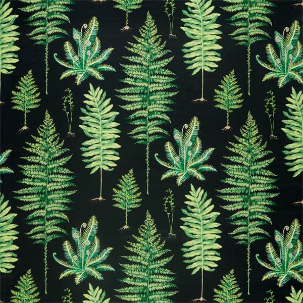 Fernery Botanical Green/Charcoal Fabric by Sanderson