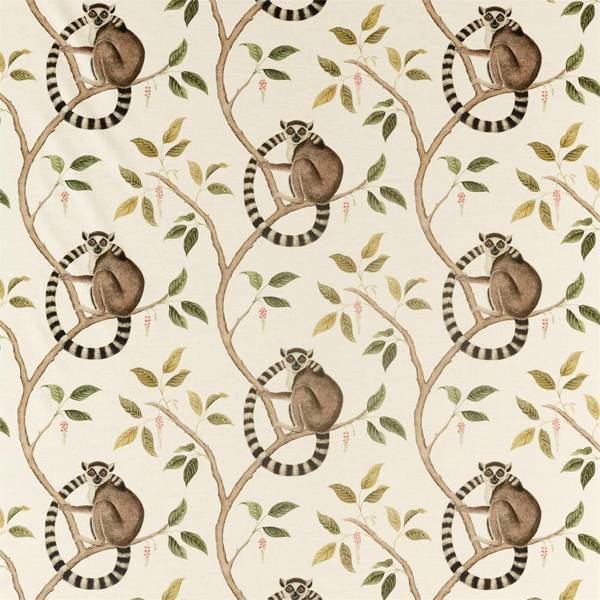 Ringtailed Lemur Ringtailed Lemur Olive Fabric by Sanderson