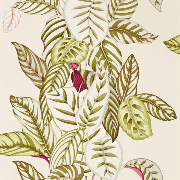 Calathea Olive Wallpaper by Sanderson