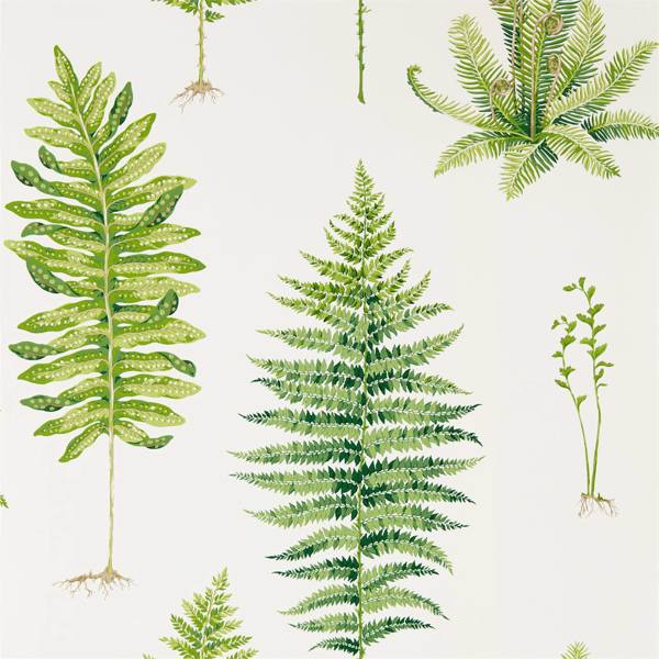 Fernery Botanical Green Wallpaper by Sanderson