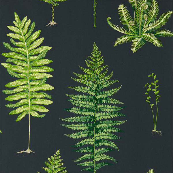 Fernery Botanical Green/Charcoal Wallpaper by Sanderson