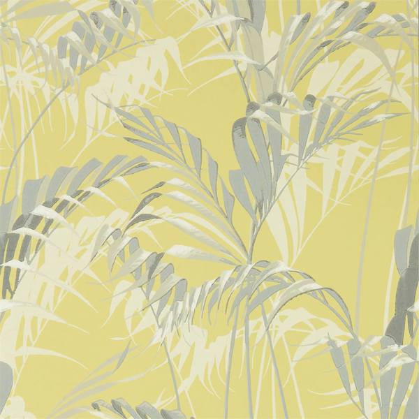 Palm House Chartreuse/Grey Wallpaper by Sanderson