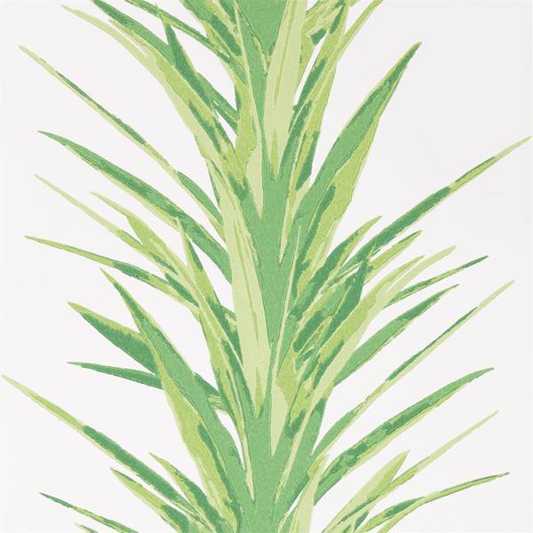 Yucca Botanical Green Wallpaper by Sanderson