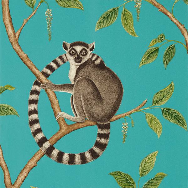 Ringtailed Lemur Ringtailed Lemur Teal Wallpaper by Sanderson