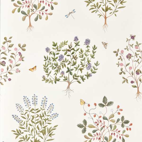 Thyme Walk Damson/Quince Wallpaper by Sanderson