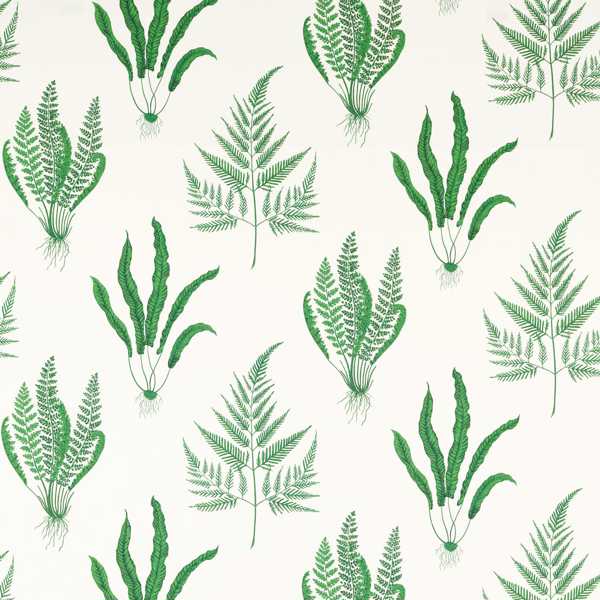 Woodland Ferns Botanical Green Fabric by Sanderson