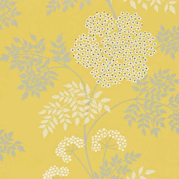 Cowparsley Chinese Yellow Wallpaper by Sanderson
