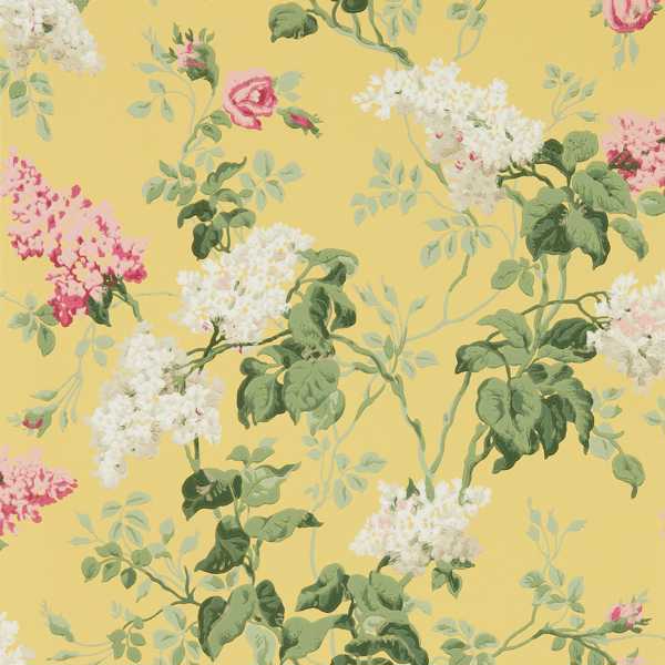 Cowparsley Chinese Yellow Wallpaper | Sanderson by Sanderson Design
