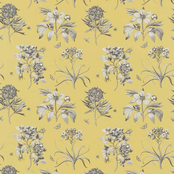Etchings & Roses Empire Yellow Fabric by Sanderson
