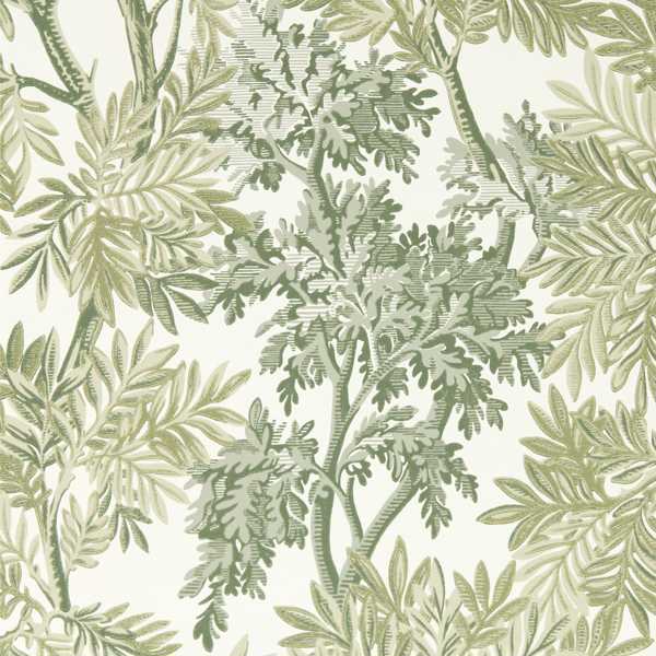 Tapestry Trees Forest/Willow Wallpaper by Sanderson