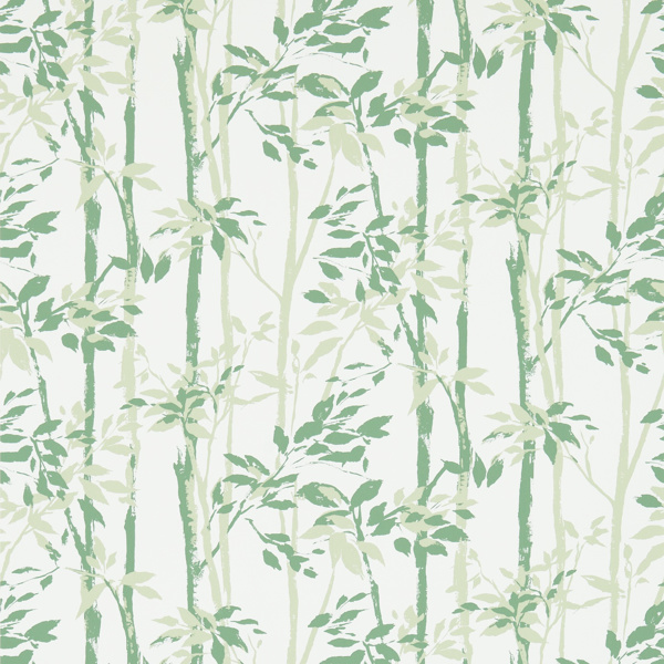Beechgrove Green/Ivory Wallpaper by Sanderson
