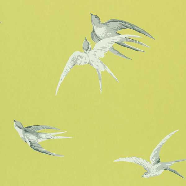 Swallows Lime Wallpaper by Sanderson
