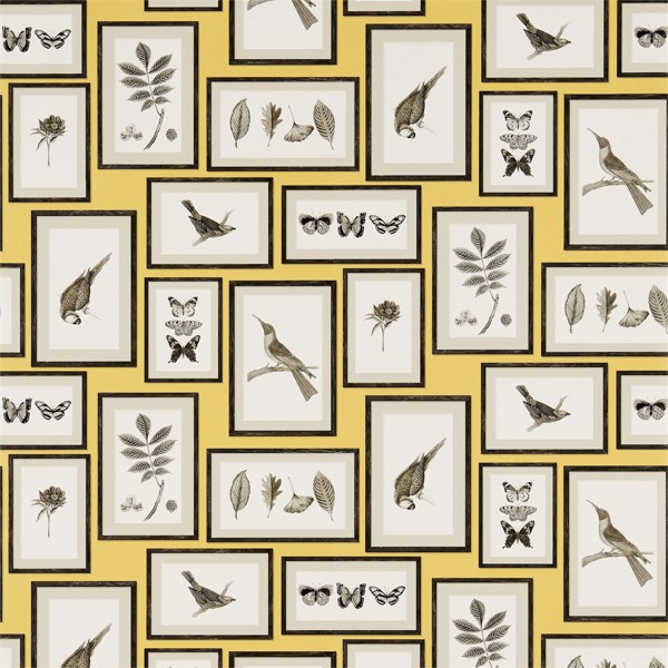 Picture Gallery Yellow/Charcoal Wallpaper by Sanderson