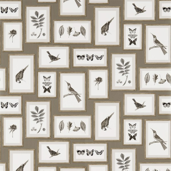 Picture Gallery Taupe/Sepia Wallpaper by Sanderson