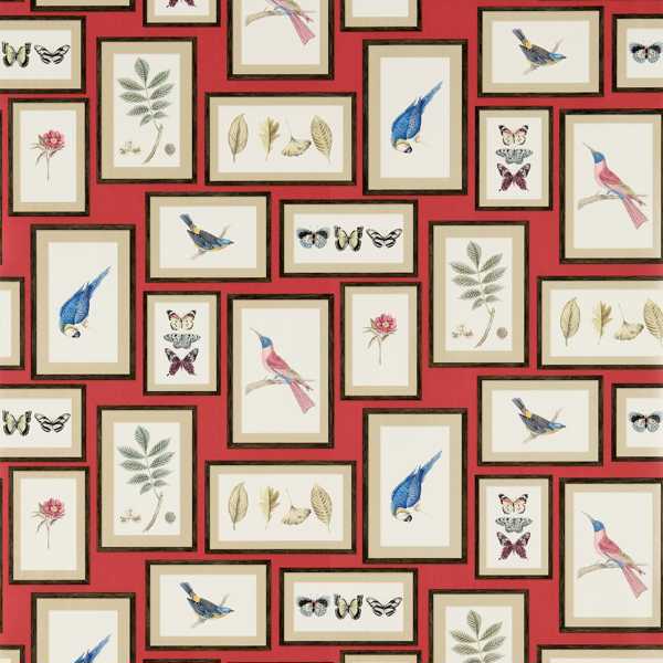 Picture Gallery Red/Multi Wallpaper by Sanderson