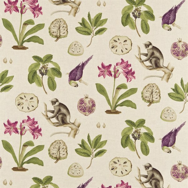 Capuchins Boysenberry Fabric by Sanderson