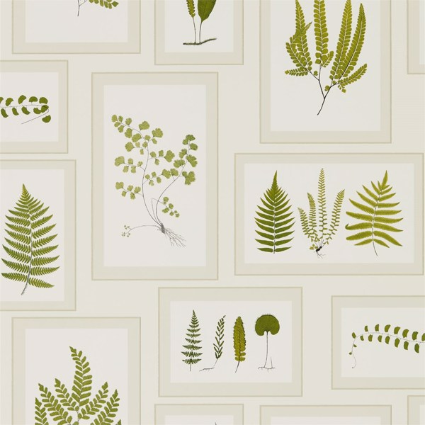 Fern Gallery Ivory/Green Wallpaper by Sanderson
