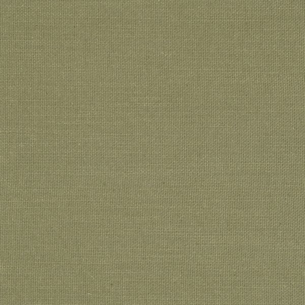 Nantucket Olive Fabric by Clarke & Clarke