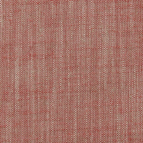 Biarritz Cabernet Fabric by Clarke & Clarke