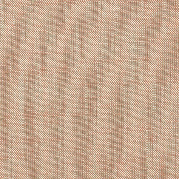Biarritz Coral Fabric by Clarke & Clarke