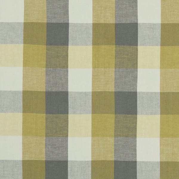 Austin Check Citron/Natural Fabric by Clarke & Clarke