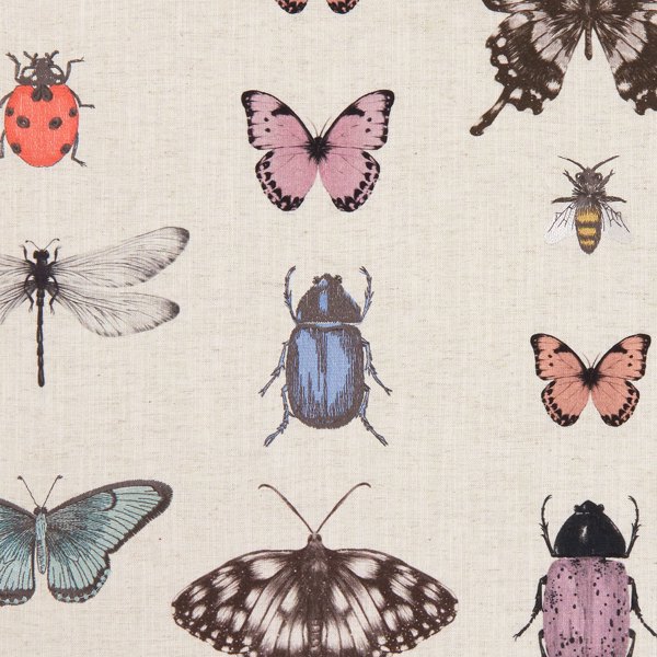 Papilio Blush/Natural Fabric by Clarke & Clarke