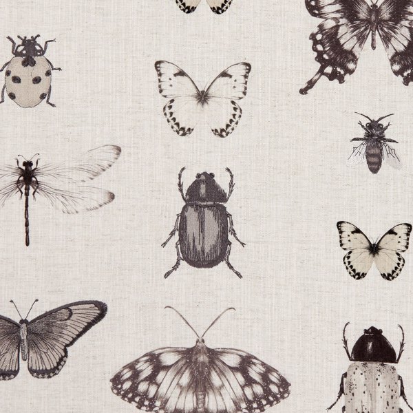 Papilio Charcoal/Linen Fabric by Clarke & Clarke