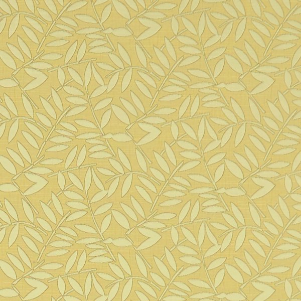 Hollins Citrus Fabric by Clarke & Clarke