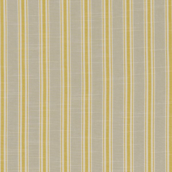 Thornwick Citrus Fabric by Clarke & Clarke