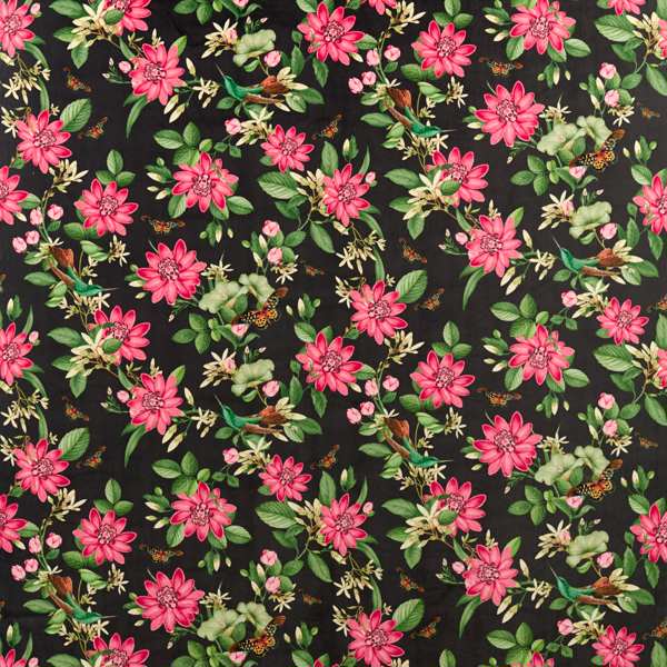 Pink Lotus Noir Velvet Fabric by Clarke & Clarke