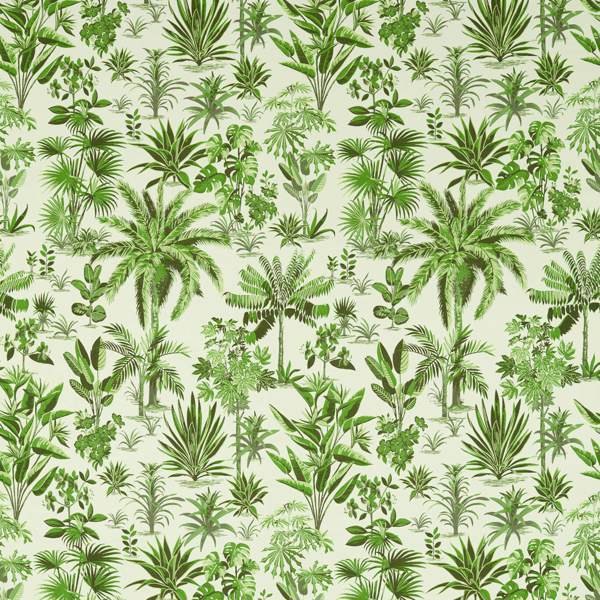 Malindi Palm Fabric by Clarke & Clarke