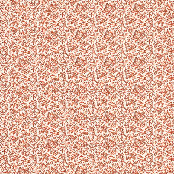 Seabed Coral Fabric by Clarke & Clarke