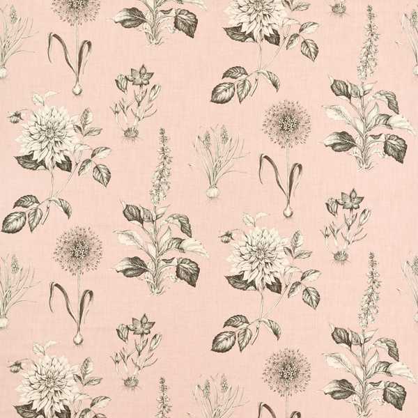 Roseraie Blush Fabric by Clarke & Clarke