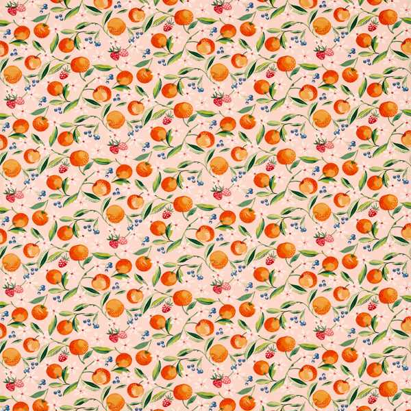 Orange Blossom Blush Fabric by Clarke & Clarke