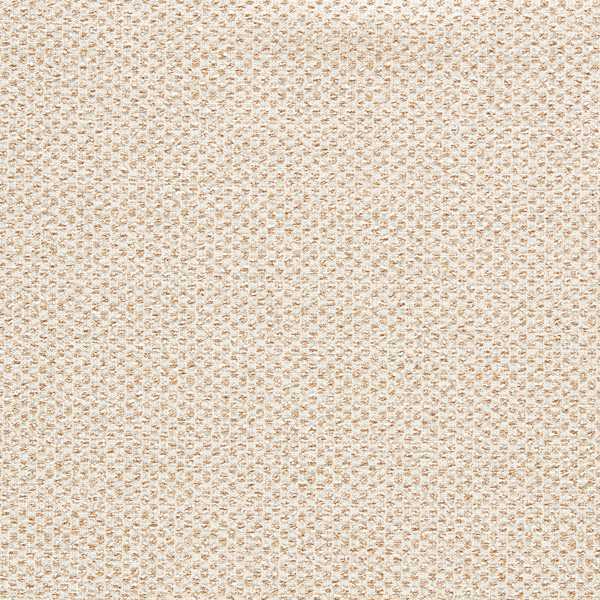 Sotano Sotano Fabric by Clarke & Clarke