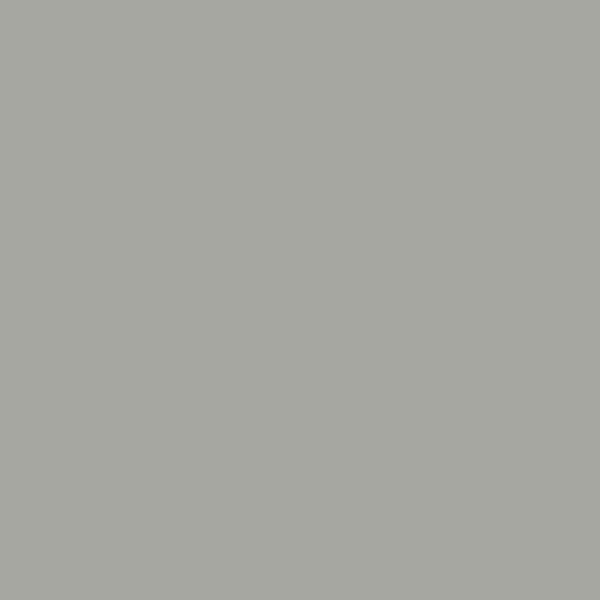 Paint Half Empire Grey Paint by Zoffany