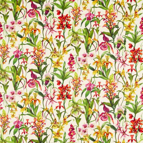 Kalina Parchment/Forest/Azalea Fabric by Harlequin