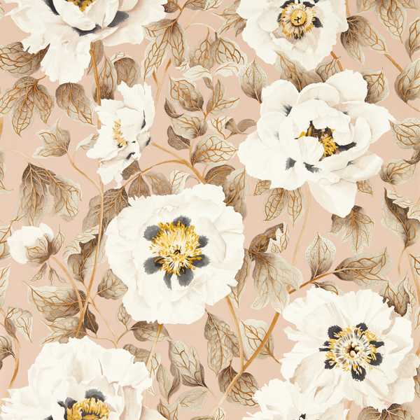Florent Positano/Maple/Graphite Wallpaper by Harlequin