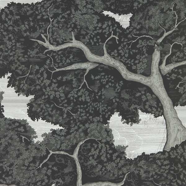 Eternal Oak Ebony/First Light Wallpaper by Harlequin