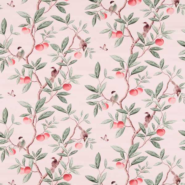 Ella Powder/ Sage / Peach Fabric by Harlequin