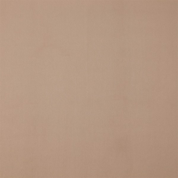 Entity Plains Latte Fabric by Harlequin