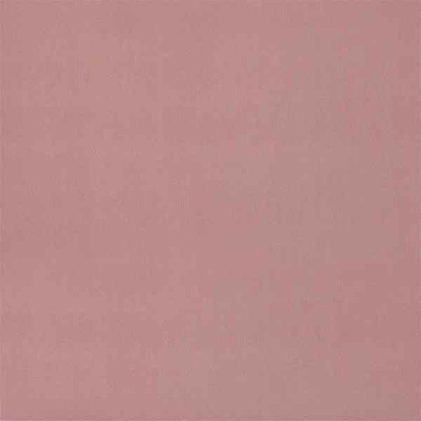 Entity Plains Blush Fabric by Harlequin