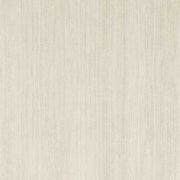 Wood Veneer Silver Birch Wallpaper by Harlequin